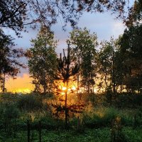 Закат :: Андрей 