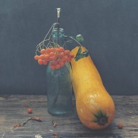 Плоды :: Ирина Курмалеева