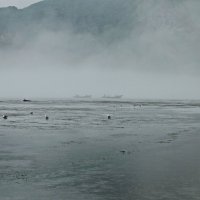 Возвращение рыбаков. :: Ирина Нафаня Возвращение рыбаков. :: Ирина Нафаня