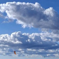 Пара :: Хватова Марина 