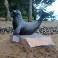 балтийская нерпа :: zavitok * балтийская нерпа :: zavitok *