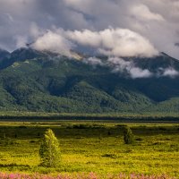 ... :: Жора Житников