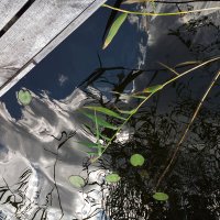 Мистика отражений :: Yury Mironov Мистика отражений :: Yury Mironov