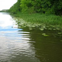 Дон :: Андрей Л. В.