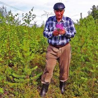 Июль...Я в тайге  с букетиком кипрея- целебного растения! :: Владимир 