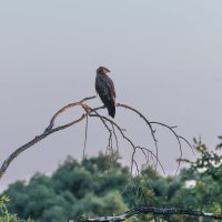 - :: юрий макаров - :: юрий макаров