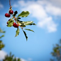 Союз :: Дмитрий 