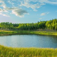 Карстовые озера,Новгородская область :: Александр Филатов