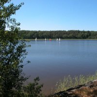 Утро на Ладоге :: Наталья Лунева 