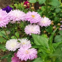 ,,, :: Сергей Тимоновский ,,, :: Сергей Тимоновский