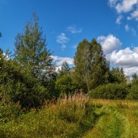 Вторая половина Августа 9 :: Андрей Дворников