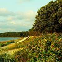 Хорошо около моря в солнечный вечер :: Aida10 