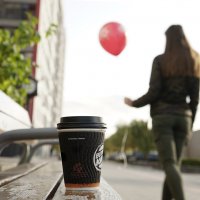 *** :: Шу Юншен