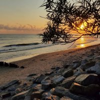 Утро :: Юрий. Шмаков Утро :: Юрий. Шмаков