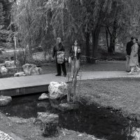 ***** :: юрий поляков