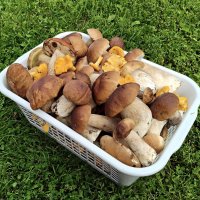 Для души :: Валерий Судачок