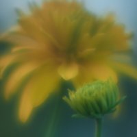 ... :: Сергей Хабибула