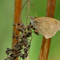 из снятого сегодня 4 :: Александр Прокудин из снятого сегодня 4 :: Александр Прокудин
