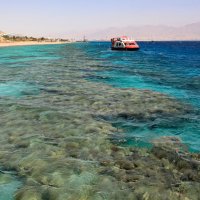 Красное море :: Светлана Карнаух