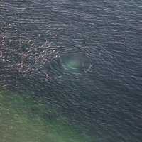 Водоворот :: Светлана Карнаух Водоворот :: Светлана Карнаух