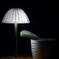 Ностальгия :: Леонид leo Ностальгия :: Леонид leo