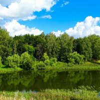 Смоленская область в конце лета. :: Милешкин Владимир Алексеевич 