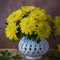 Хризантемы :: Aleksey Afonin