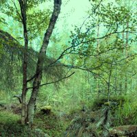 чей-то домик :: Артём 