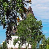 Июнь...Под сенью зеленых берез! :: Владимир 