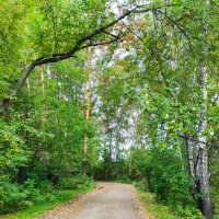 Осень, - она не спросит.... :: Татьяна Лютаева