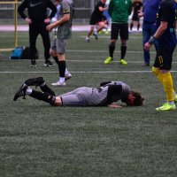 Не вели казнить, вели слово молвить...))) :: Наталья Вязигина