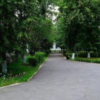 Алатырь. Липовая аллея Центрального парка летом. :: Пётр Чернега