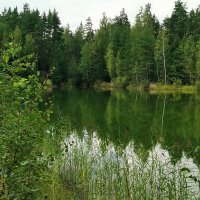 Подмосковье :: Любимова Ольга 