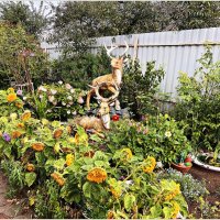 Палисадник. :: Валерия Комова Палисадник. :: Валерия Комова