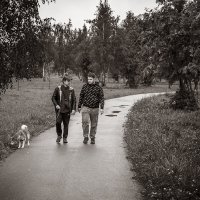 Разговор во время прогулки :: Алексей Трифонов Разговор во время прогулки :: Алексей Трифонов