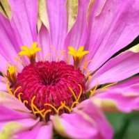 ,,, :: Сергей Тимоновский