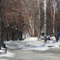 Зимняя аллея :: Мишель71 