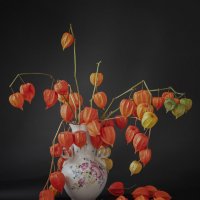 Натюрморт с физалисом. :: Лилия *