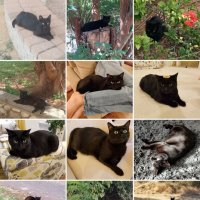 " :: Светлана Хращевская