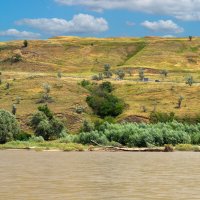 Река Кубань :: Игорь Сикорский