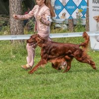 Пробежка :: Анатолий Шумилин