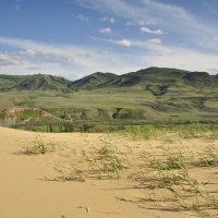 *** :: Марина Виноградова