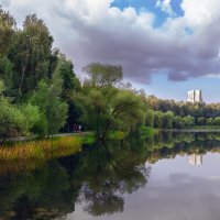 Прогулка по парку :: Серый 