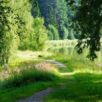 Картинка русской природы. :: Милешкин Владимир Алексеевич 