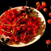 Натюрморт со смородиной :: Александр Чашин