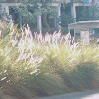 13  ОПЕН (244) :: OPEN WAYS ALL