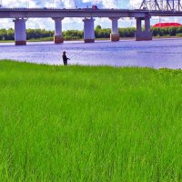 Июль...У автодорожного моста тоже клюет рыба! :: Владимир 