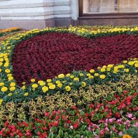 цветочное сердце :: Галина R...