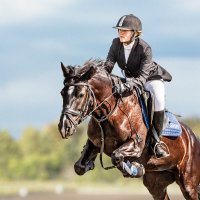 Конкур :: SanSan 