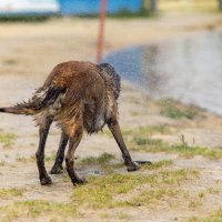 * :: k-e-r-g-u-d-u DM